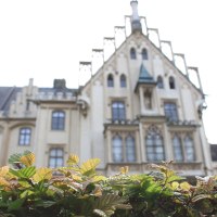 Schloss Grafenegg